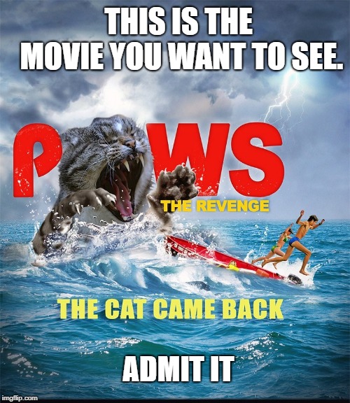 THIS IS THE MOVIE YOU WANT TO SEE. ADMIT IT | image tagged in cats,jaws,funny memes | made w/ Imgflip meme maker