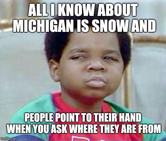 Whatchu Talkin' Bout, Willis? | ALL I KNOW ABOUT MICHIGAN IS SNOW AND PEOPLE POINT TO THEIR HAND WHEN YOU ASK WHERE THEY ARE FROM | image tagged in whatchu talkin' bout willis | made w/ Imgflip meme maker