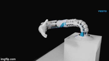 octopus robot arm