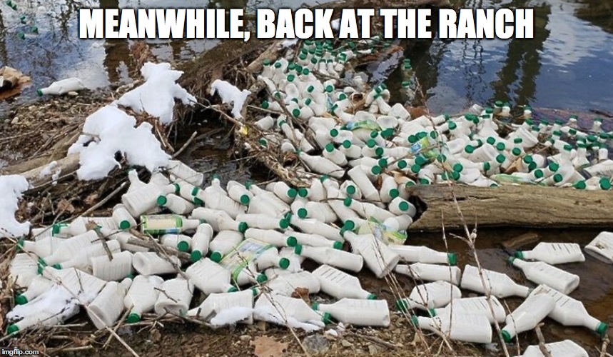 MEANWHILE, BACK AT THE RANCH | image tagged in ranch | made w/ Imgflip meme maker