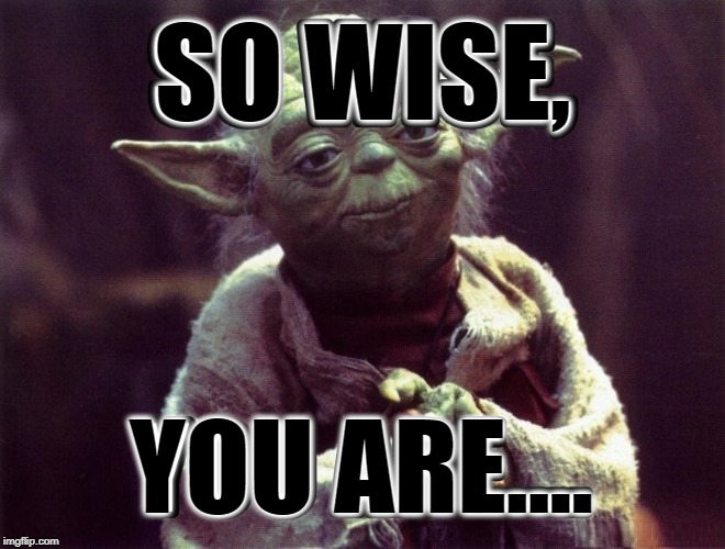 SO WISE, YOU ARE.... | made w/ Imgflip meme maker