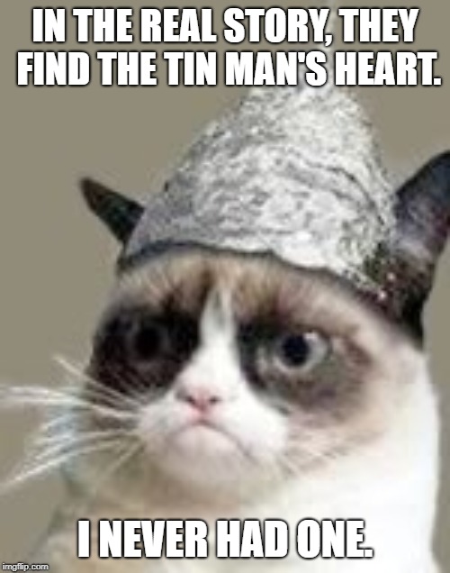 Tin man grumpy cat | IN THE REAL STORY, THEY FIND THE TIN MAN'S HEART. I NEVER HAD ONE. | image tagged in paranoid grumpy cat,catcatcatcatcatcat | made w/ Imgflip meme maker