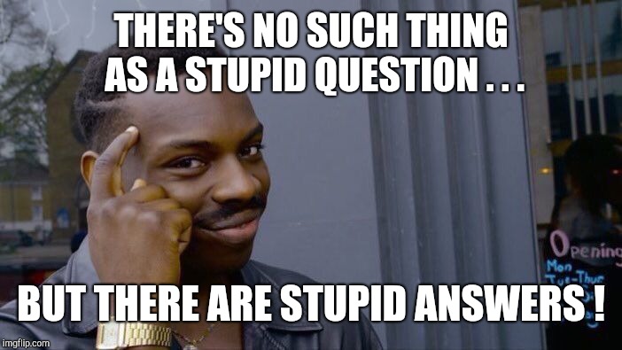 Roll Safe Think About It Meme | THERE'S NO SUCH THING AS A STUPID QUESTION . . . BUT THERE ARE STUPID ANSWERS ! | image tagged in memes,roll safe think about it | made w/ Imgflip meme maker
