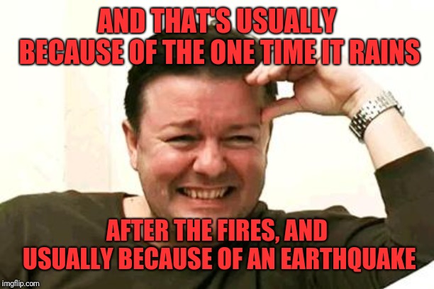 Laughing Ricky Gervais | AND THAT'S USUALLY BECAUSE OF THE ONE TIME IT RAINS AFTER THE FIRES, AND USUALLY BECAUSE OF AN EARTHQUAKE | image tagged in laughing ricky gervais | made w/ Imgflip meme maker