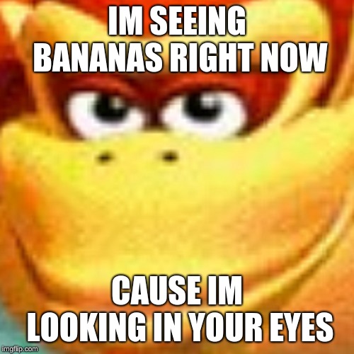 donkey kong | IM SEEING BANANAS RIGHT NOW; CAUSE IM LOOKING IN YOUR EYES | image tagged in donkey kong | made w/ Imgflip meme maker