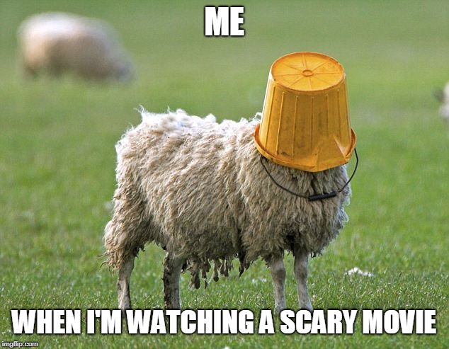 stupid sheep | ME; WHEN I'M WATCHING A SCARY MOVIE | image tagged in stupid sheep | made w/ Imgflip meme maker