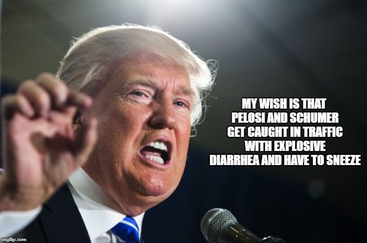 Trumps wish | MY WISH IS THAT PELOSI AND SCHUMER GET CAUGHT IN TRAFFIC WITH EXPLOSIVE DIARRHEA AND HAVE TO SNEEZE | image tagged in donald trump,nancy pelosi,chuck schumer,shits,wish | made w/ Imgflip meme maker