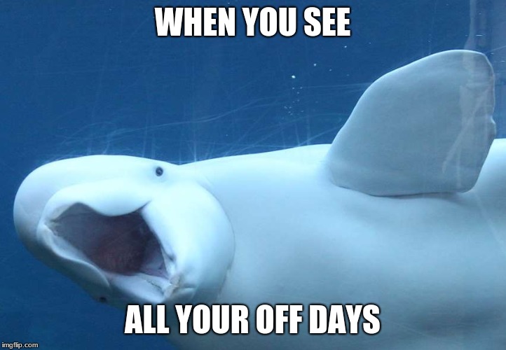 WHEN YOU SEE; ALL YOUR OFF DAYS | image tagged in memes,funny memes | made w/ Imgflip meme maker