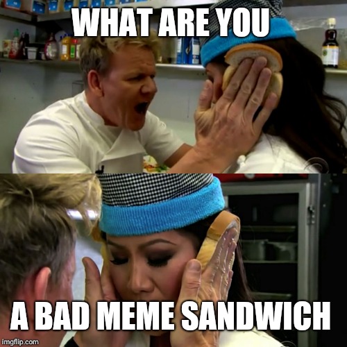 Gordon Ramsay Idiot Sandwich | WHAT ARE YOU A BAD MEME SANDWICH | image tagged in gordon ramsay idiot sandwich | made w/ Imgflip meme maker
