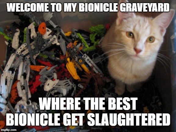 LEGO LOLCat | WELCOME TO MY BIONICLE GRAVEYARD; WHERE THE BEST BIONICLE GET SLAUGHTERED | image tagged in lego lolcat | made w/ Imgflip meme maker