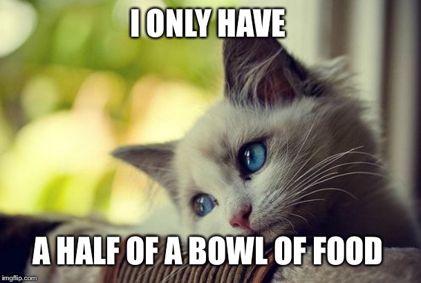 First World Problems Cat Meme | I ONLY HAVE; A HALF OF A BOWL OF FOOD | image tagged in memes,first world problems cat | made w/ Imgflip meme maker