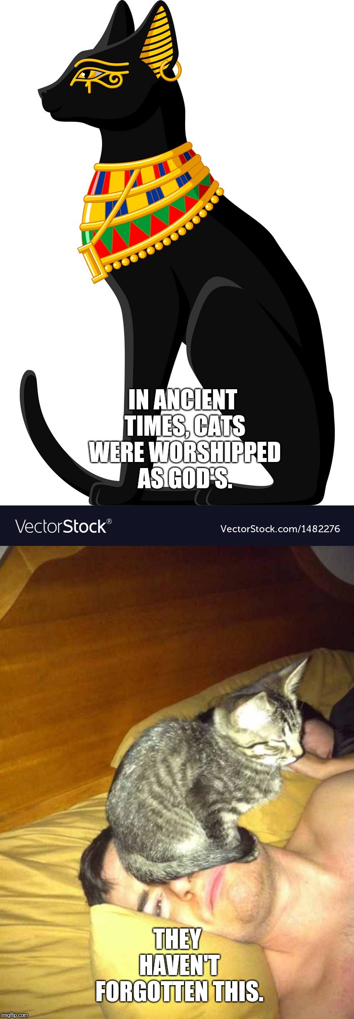 Cats never forget | IN ANCIENT TIMES, CATS WERE WORSHIPPED AS GOD'S. THEY HAVEN'T FORGOTTEN THIS. | image tagged in funny cats | made w/ Imgflip meme maker