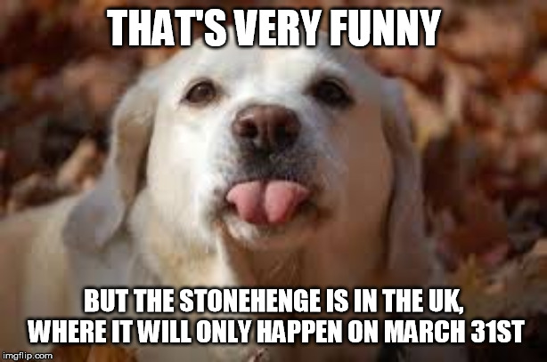 Dog Sticking Tongue Out | THAT'S VERY FUNNY BUT THE STONEHENGE IS IN THE UK, WHERE IT WILL ONLY HAPPEN ON MARCH 31ST | image tagged in dog sticking tongue out | made w/ Imgflip meme maker