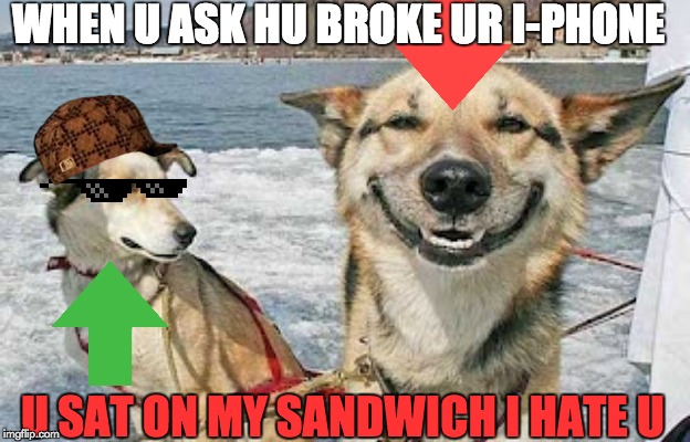 Original Stoner Dog | WHEN U ASK HU BROKE UR I-PHONE; U SAT ON MY SANDWICH I HATE U | image tagged in memes,original stoner dog | made w/ Imgflip meme maker