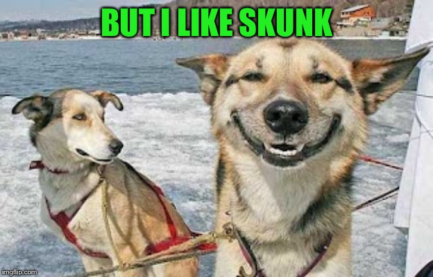 Original Stoner Dog Meme | BUT I LIKE SKUNK | image tagged in memes,original stoner dog | made w/ Imgflip meme maker