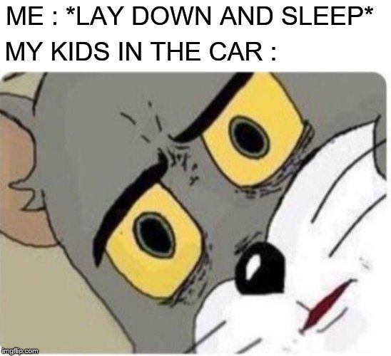Tom and Jerry meme | MY KIDS IN THE CAR :; ME : *LAY DOWN AND SLEEP* | image tagged in tom and jerry meme | made w/ Imgflip meme maker