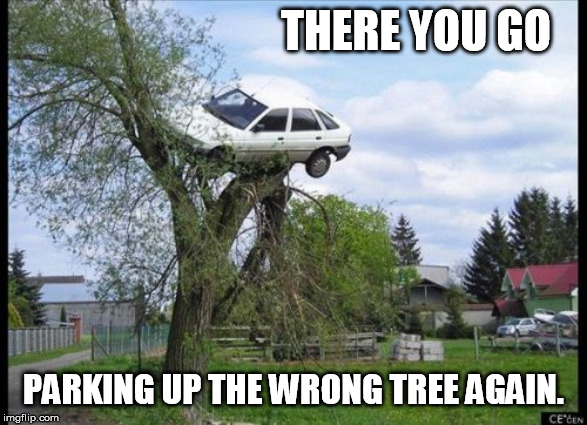 In a Prius life I was a Dodge Aspen. | THERE YOU GO; PARKING UP THE WRONG TREE AGAIN. | image tagged in car tree fail | made w/ Imgflip meme maker