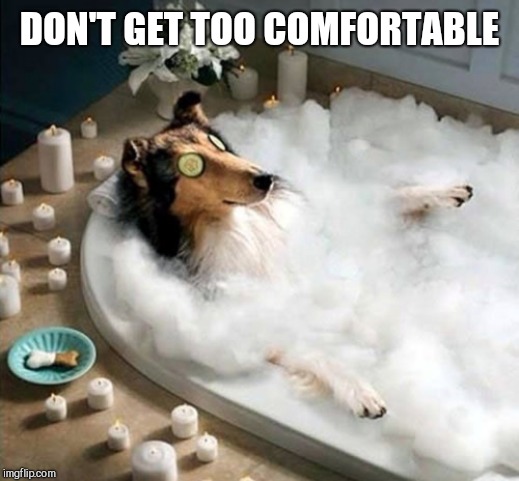 Dog Bath | DON'T GET TOO COMFORTABLE | image tagged in dog bath | made w/ Imgflip meme maker