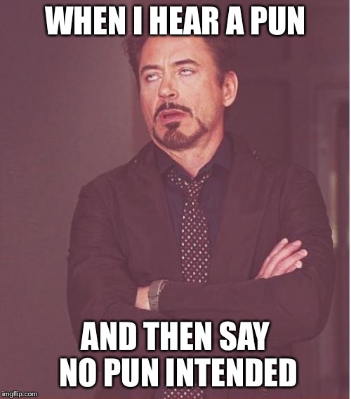 Face You Make Robert Downey Jr Meme | WHEN I HEAR A PUN; AND THEN SAY NO PUN INTENDED | image tagged in memes,face you make robert downey jr | made w/ Imgflip meme maker