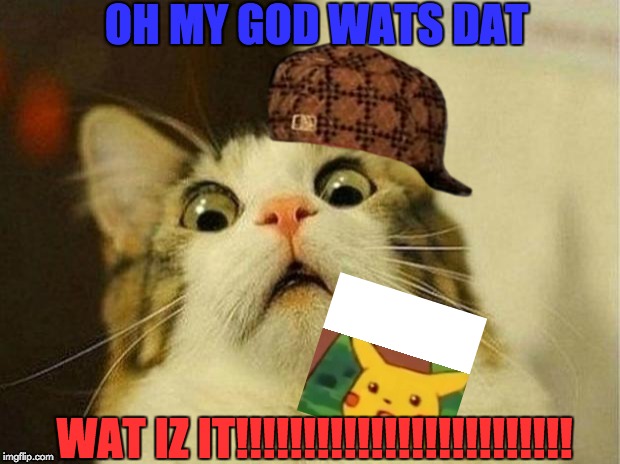Scared Cat | OH MY GOD WATS DAT; WAT IZ IT!!!!!!!!!!!!!!!!!!!!!!!!! | image tagged in memes,scared cat | made w/ Imgflip meme maker