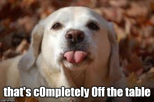 Dog Sticking Tongue Out | that's c0mpletely 0ff the table | image tagged in dog sticking tongue out | made w/ Imgflip meme maker