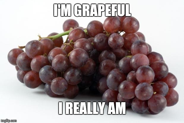 grapes | I'M GRAPEFUL I REALLY AM | image tagged in grapes | made w/ Imgflip meme maker