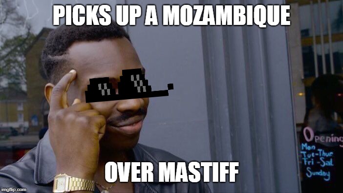 Roll Safe Think About It Meme | PICKS UP A MOZAMBIQUE; OVER MASTIFF | image tagged in memes,roll safe think about it | made w/ Imgflip meme maker