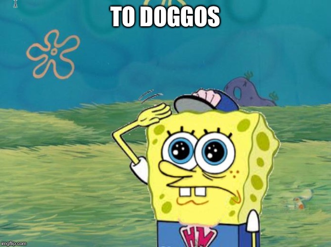 Spongebob salute | TO DOGGOS | image tagged in spongebob salute | made w/ Imgflip meme maker