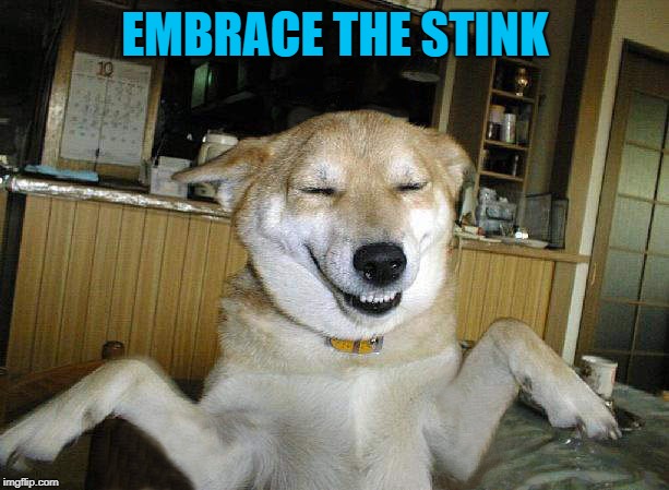 EMBRACE THE STINK | made w/ Imgflip meme maker