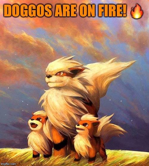 Growlithes a Dog so.. - Doggo Week March 10-16 a Blaze_the_Blaziken and 1forpeace Event | DOGGOS ARE ON FIRE! 🔥 | image tagged in growlithe fam,pokemon,video games,doggo week,blaze the blaziken,1forpeace | made w/ Imgflip meme maker