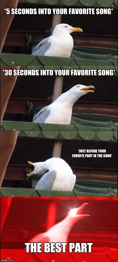 Inhaling Seagull Meme | *5 SECONDS INTO YOUR FAVORITE SONG*; *30 SECONDS INTO YOUR FAVORITE SONG*; *JUST BEFORE YOUR FAVERTE PART IN THE SONG*; THE BEST PART | image tagged in memes,inhaling seagull | made w/ Imgflip meme maker
