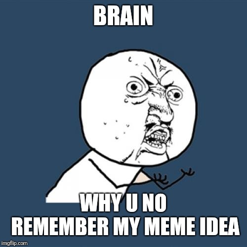Y U No | BRAIN; WHY U NO REMEMBER MY MEME IDEA | image tagged in memes,y u no | made w/ Imgflip meme maker