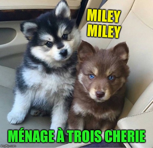 MILEY MILEY MÉNAGE À TROIS CHERIE | made w/ Imgflip meme maker