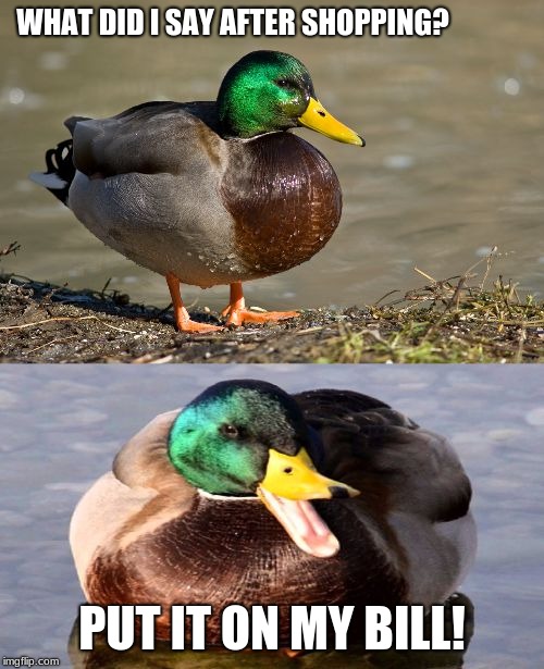 Bad puns, duck. |  WHAT DID I SAY AFTER SHOPPING? PUT IT ON MY BILL! | image tagged in bad pun duck,shopping | made w/ Imgflip meme maker