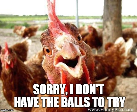 Chicken | SORRY, I DON'T HAVE THE BALLS TO TRY | image tagged in chicken | made w/ Imgflip meme maker