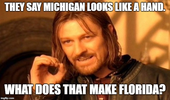 One Does Not Simply Meme | THEY SAY MICHIGAN LOOKS LIKE A HAND. WHAT DOES THAT MAKE FLORIDA? | image tagged in memes,one does not simply | made w/ Imgflip meme maker