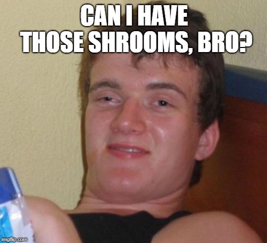 10 Guy Meme | CAN I HAVE THOSE SHROOMS, BRO? | image tagged in memes,10 guy | made w/ Imgflip meme maker