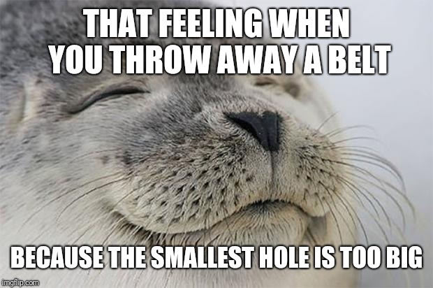 Satisfied Seal | THAT FEELING WHEN YOU THROW AWAY A BELT; BECAUSE THE SMALLEST HOLE IS TOO BIG | image tagged in memes,satisfied seal,AdviceAnimals | made w/ Imgflip meme maker