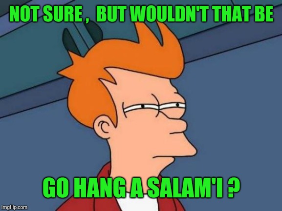 Futurama Fry Meme | NOT SURE ,  BUT WOULDN'T THAT BE GO HANG A SALAM'I ? | image tagged in memes,futurama fry | made w/ Imgflip meme maker