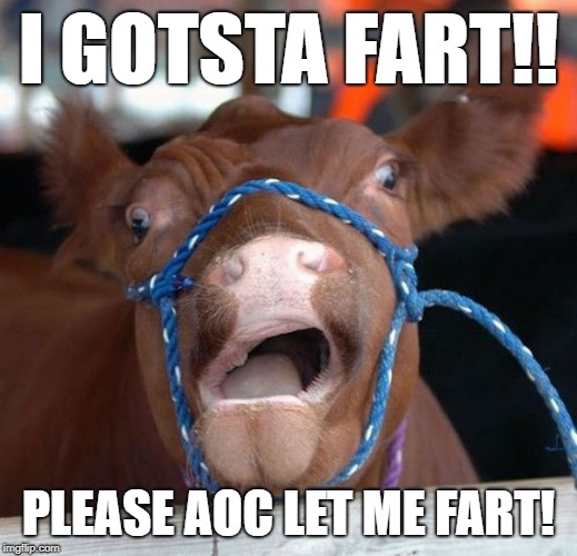 AOC is such a cow hater | I GOTSTA FART!! PLEASE AOC LET ME FART! | image tagged in alexandria ocasio-cortez,aoc,green new deal,politics,democratic socialism,climate change | made w/ Imgflip meme maker