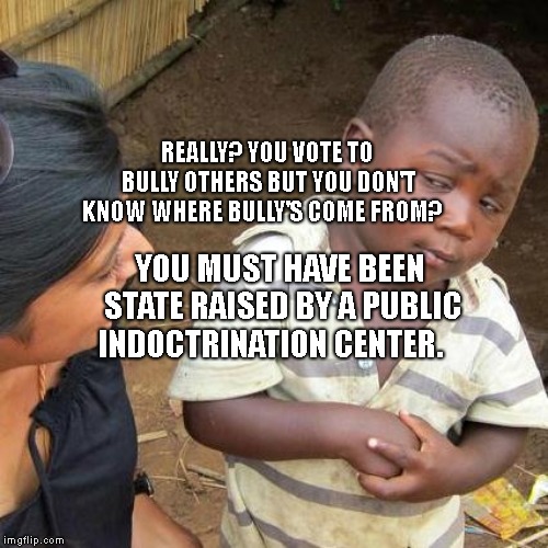 Third World Skeptical Kid Meme | REALLY? YOU VOTE TO BULLY OTHERS BUT YOU DON'T KNOW WHERE BULLY'S COME FROM? YOU MUST HAVE BEEN STATE RAISED BY A PUBLIC INDOCTRINATION CENTER. | image tagged in memes,third world skeptical kid | made w/ Imgflip meme maker