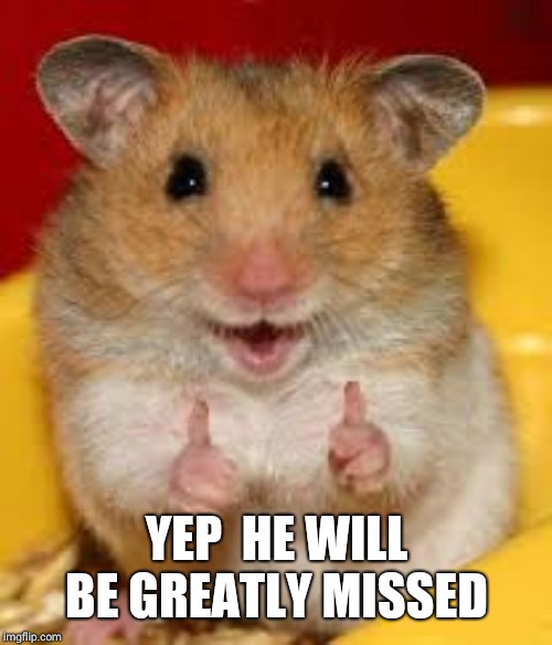 Thumbs up hamster  | YEP  HE WILL BE GREATLY MISSED | image tagged in thumbs up hamster | made w/ Imgflip meme maker