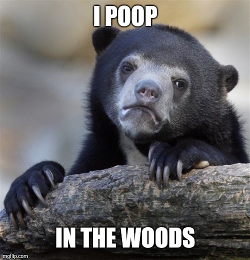 Confession Bear Meme | I POOP IN THE WOODS | image tagged in memes,confession bear | made w/ Imgflip meme maker