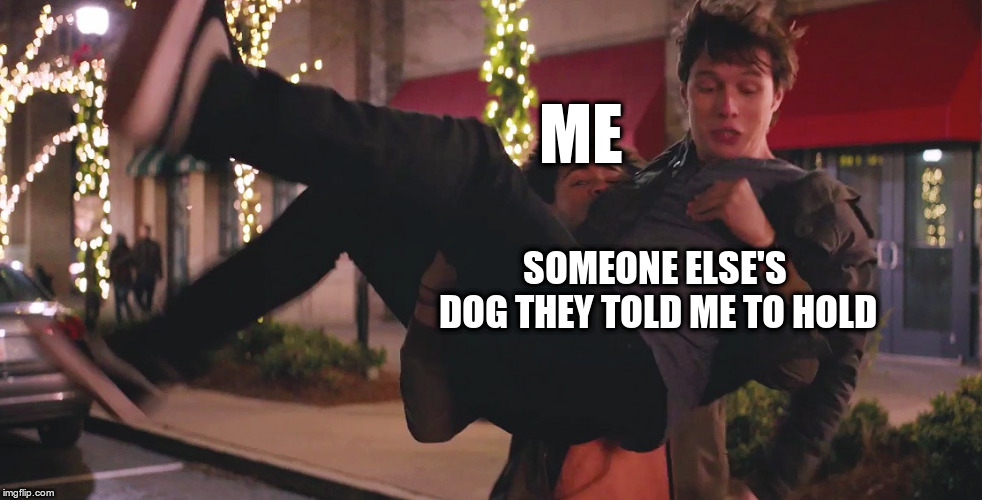 Top 10 photos taken minutes before disaster: | ME; SOMEONE ELSE'S DOG THEY TOLD ME TO HOLD | image tagged in dogs,pets,love simon,disaster | made w/ Imgflip meme maker