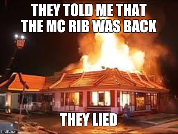 McDonalds on FIRE | THEY TOLD ME THAT THE MC RIB WAS BACK; THEY LIED | image tagged in mcdonalds on fire | made w/ Imgflip meme maker