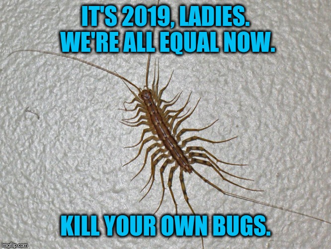 Equality will bite you in the ass | IT'S 2019, LADIES. WE'RE ALL EQUAL NOW. KILL YOUR OWN BUGS. | image tagged in equality bug | made w/ Imgflip meme maker