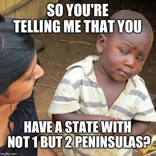 Third World Skeptical Kid Meme | SO YOU'RE TELLING ME THAT YOU; HAVE A STATE WITH NOT 1 BUT 2 PENINSULAS? | image tagged in memes,third world skeptical kid | made w/ Imgflip meme maker