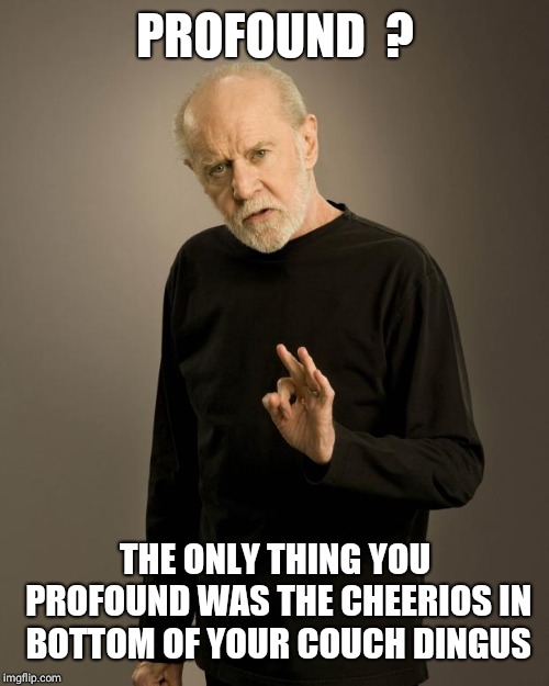 George Carlin | PROFOUND  ? THE ONLY THING YOU PROFOUND WAS THE CHEERIOS IN BOTTOM OF YOUR COUCH DINGUS | image tagged in george carlin | made w/ Imgflip meme maker