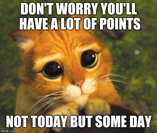 Sad Puppy Eyes Cat | DON'T WORRY YOU'LL HAVE A LOT OF POINTS NOT TODAY BUT SOME DAY | image tagged in sad puppy eyes cat | made w/ Imgflip meme maker