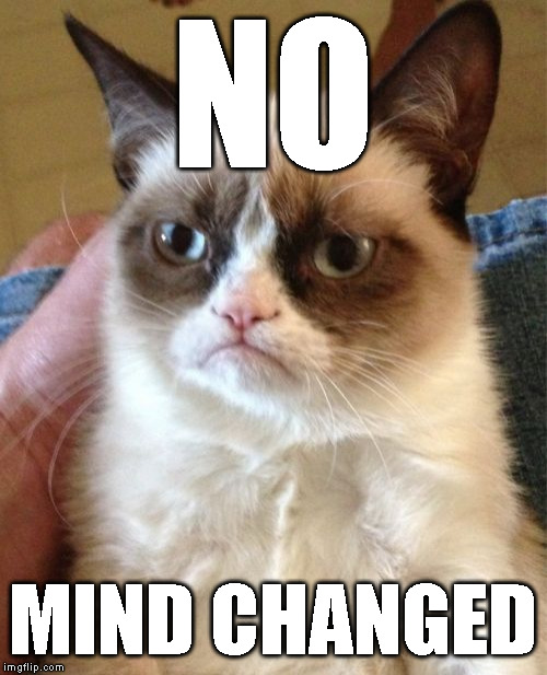NO MIND CHANGED | image tagged in memes,grumpy cat | made w/ Imgflip meme maker